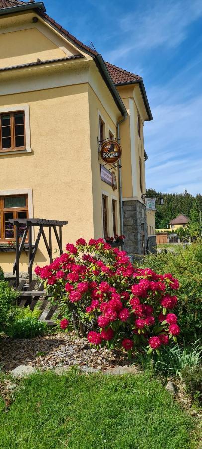 Pension Pod Lipou Лоучовице Экстерьер фото